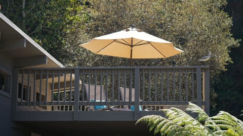 Sundeck with hill in backyard