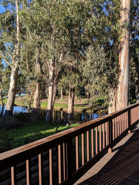 Upper deck view down the lake towards ocean.
