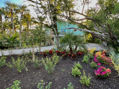 Gorgeous flowers and foliage.