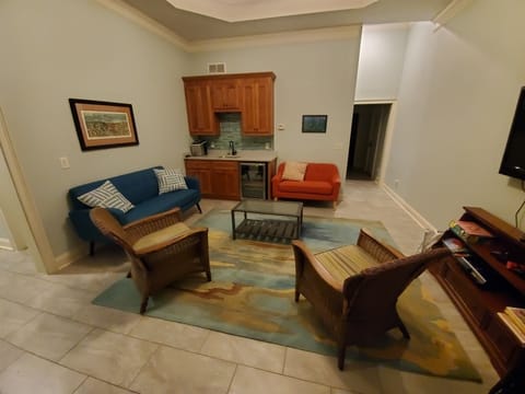 Basement Living Room