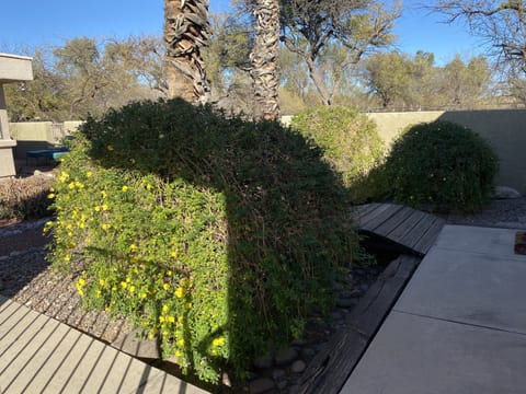 Walking toward front door