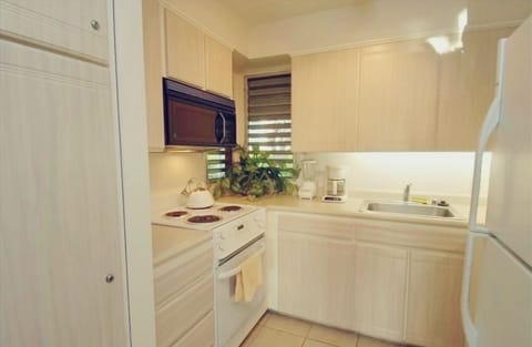 Fully equipped kitchen.