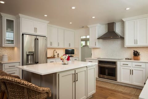 Kitchen refrigerator and additional sink