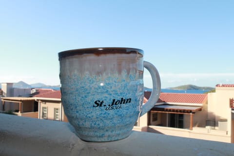 Welcome to St. John...
Somewhere in the Sun!