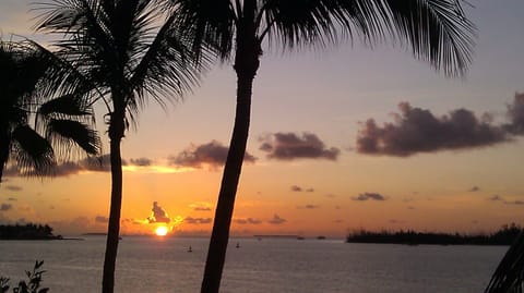 View from the Room Balcony