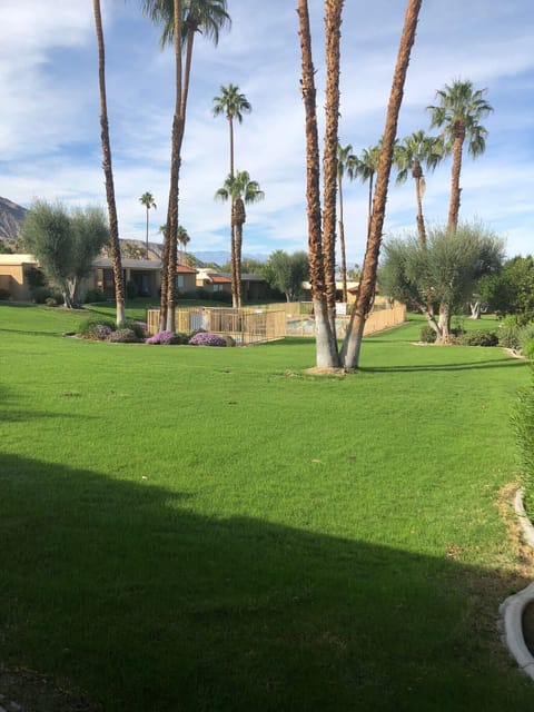 View from Back Patio Towards Pool
