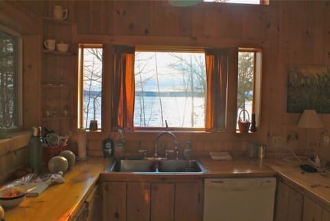 Cloudy day view from the kitchen.
