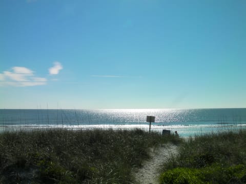 Typical Amelia beach scene at our Access point a short stroll away
