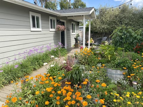 Always blooming!