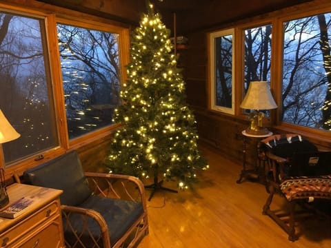 Christmas tree on display Thanksgiving to New Years.