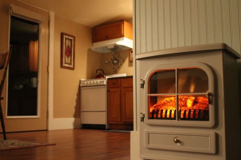 Cozy romantic electric firelight!