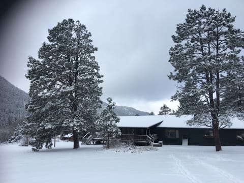 Paradise Ranch back yard borders National Forest