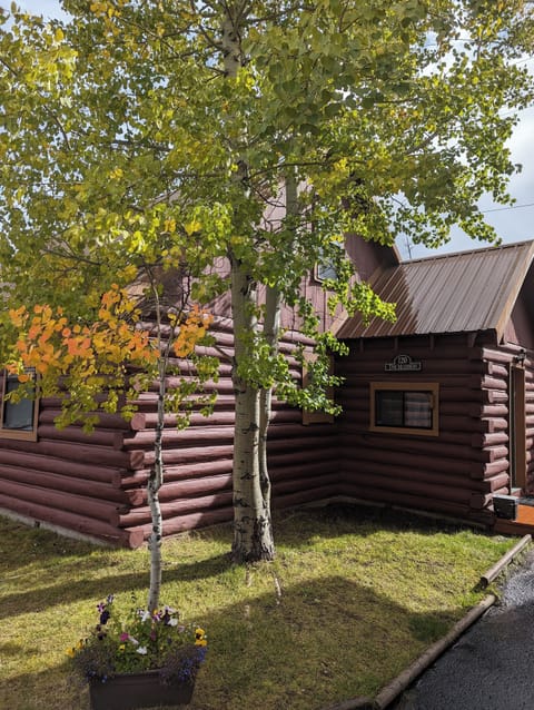 PXL 20231003 202921233