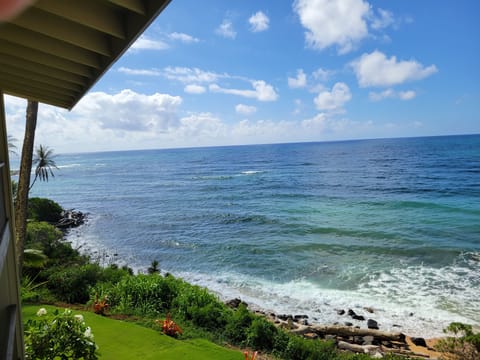 Looking East from the Lanai