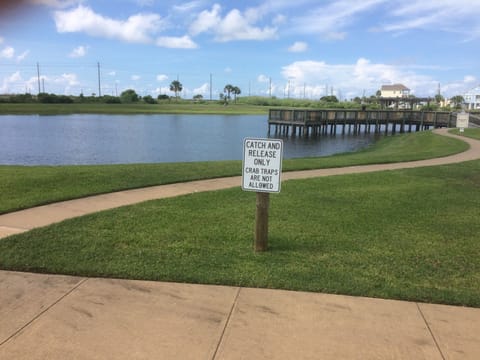 The catch and release fishing and crabbing pier is walking distance from condo.