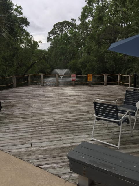 Deck to the facing the pond from the pool