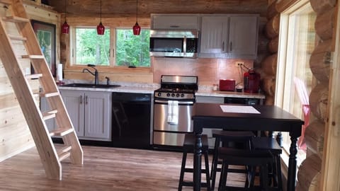 Full kitchen includes stove, dishwasher, microwave, and 2 mini-fridges.