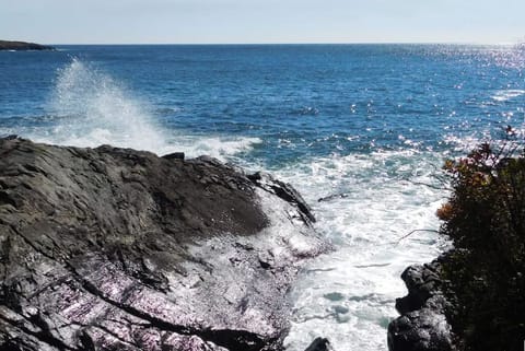 Just 75 feet from the water, Sound of the Sea is a vacation home like no other!