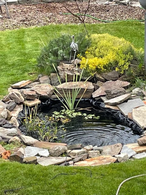 Fenced back yard with pond feature