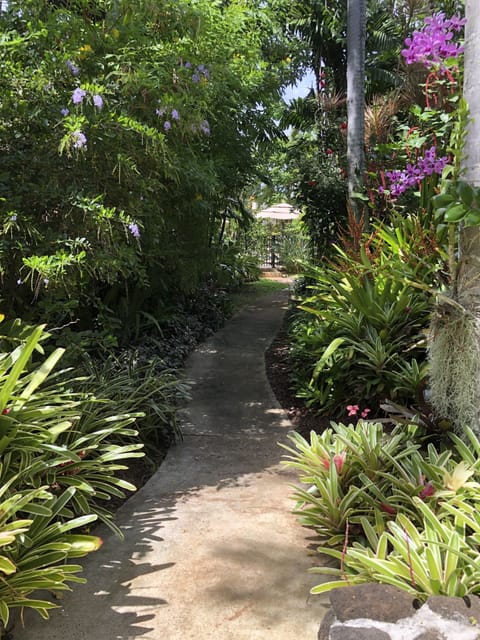 Tropicals include some rare specimens in an emerald oasis.