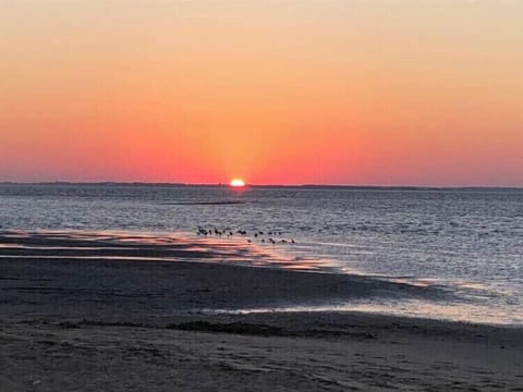 CHINCOTEAGUE BAY