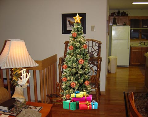 Visiting us at Christmas time? Don't worry we already have a tree & decorations!