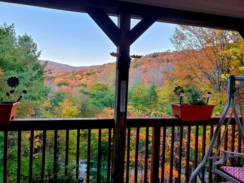 Views for miles from the back porch 