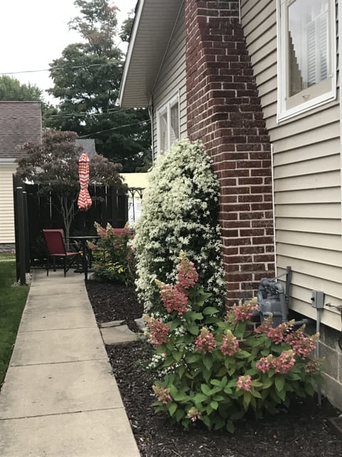 Front walk way to the patio - back door