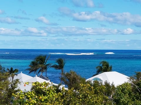 View from Veranda