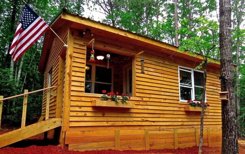 A Cabin in the Woods