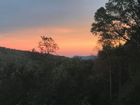 Sunset view!