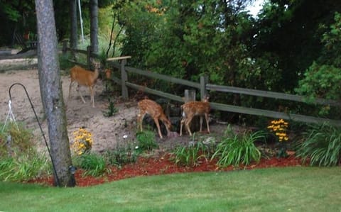 View from Dining room and kitchen