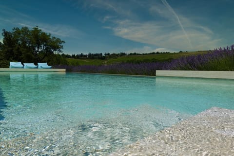 Edgeless saltwater pool with view over rolling hills