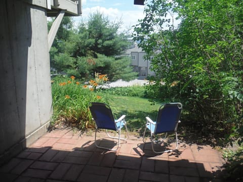 View of and from the back patio.