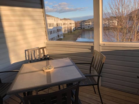 Downstairs screened patio with new patio chairs