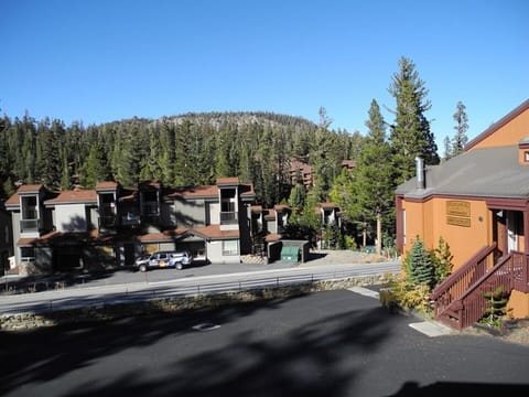 Summer View From Balcony