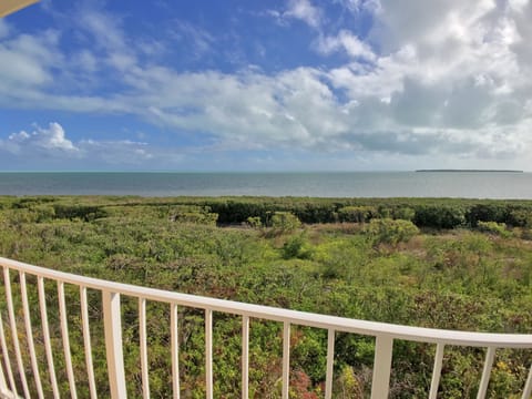 View from Unit