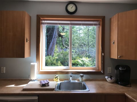 View from the kitchen 