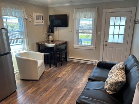 Living Room with full size pull out sofa sleeper