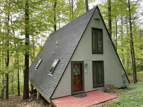 It's a 1971 vintage A-Frame cottage. Brand new roof and skylights in 2019.
