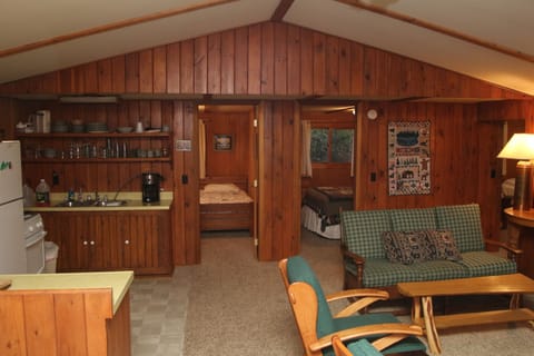 Living room and kitchen