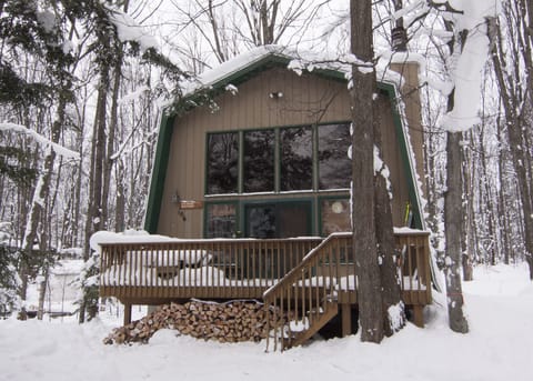 Winter Wonderland; XC, Snowshoeing , Skiing ,Snowmobiling nearby!