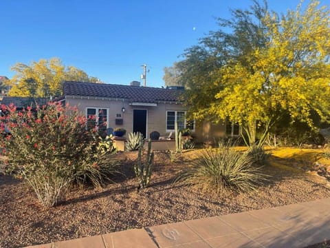 Beautiful native plant landscaping typical of Arizona style homes. 