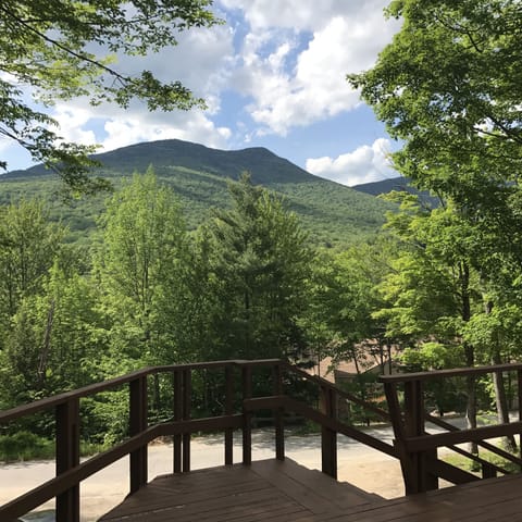 The view from the deck in Summer