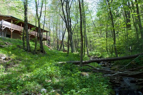 Mountain Creek Cabin is on 1.6 acres with streams, waterfall and so much more. 