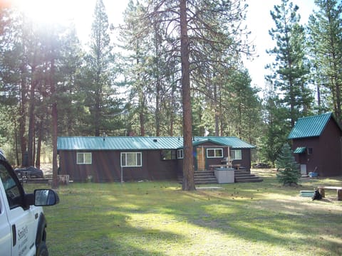 View from the backyard