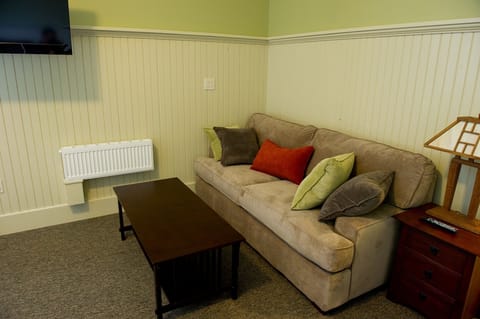 Large area to relax in guest room, with queen pull out sofa bed.