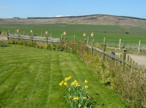 The Shared Garden, with unpolluted skies to watch the evening stars

