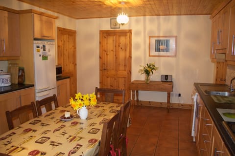 Another view of the kitchen with Dali print.