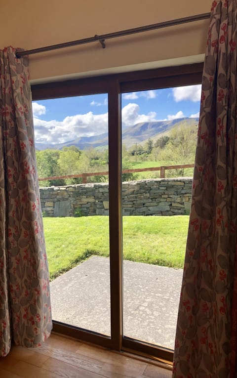 View from patio window.